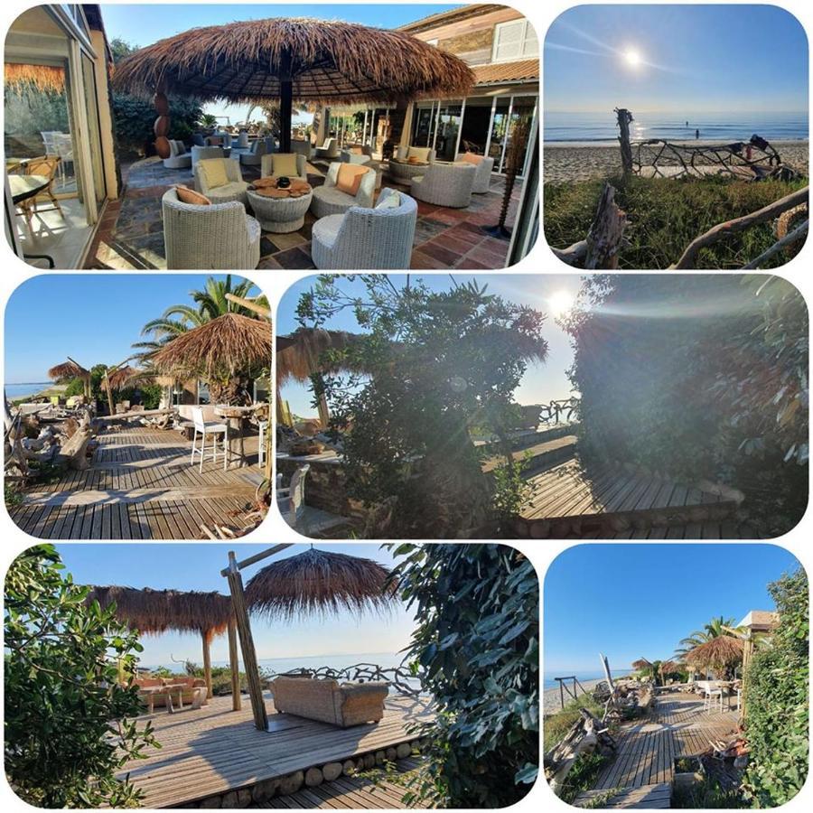 Hotel Levolle Marine Poggio Mezzana Exterior foto